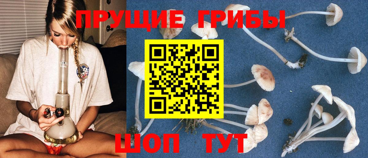 Псилоцибиновые грибы GOLDEN TEACHER  Вход с VPN  Вязьма 